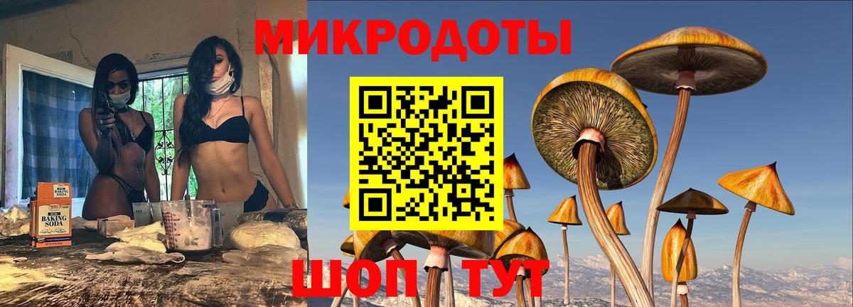 Псилоцибиновые грибы прущие грибы Сухой Лог