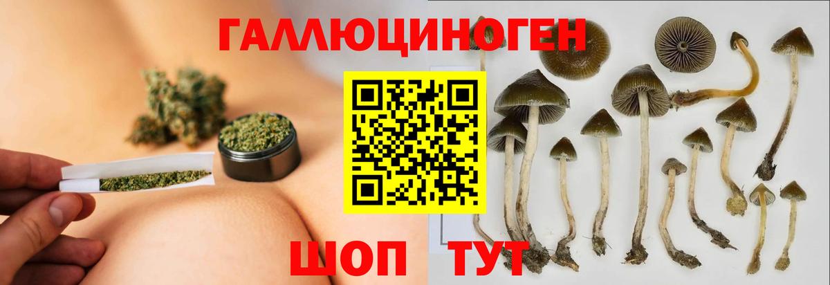 Галлюциногенные грибы прущие грибы  Вход с VPN  Сухой Лог  как найти   Псилоцибиновые грибы прущие грибы 